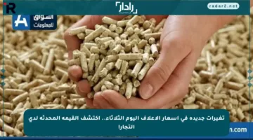 تغيرات جديدة في أسعار الأعلاف اليوم الثلاثاء.. اكتشف القيمة المحدثة لدى التجار!
